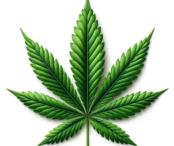 Synthetic Cannabis and Alzheimer’s: A Natural-Looking Remedy with a Scientific Twist